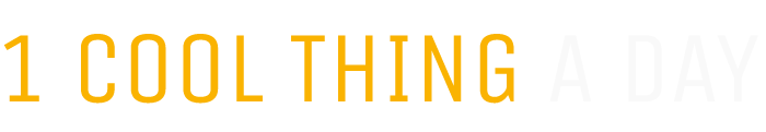 One Cool Thing A Day